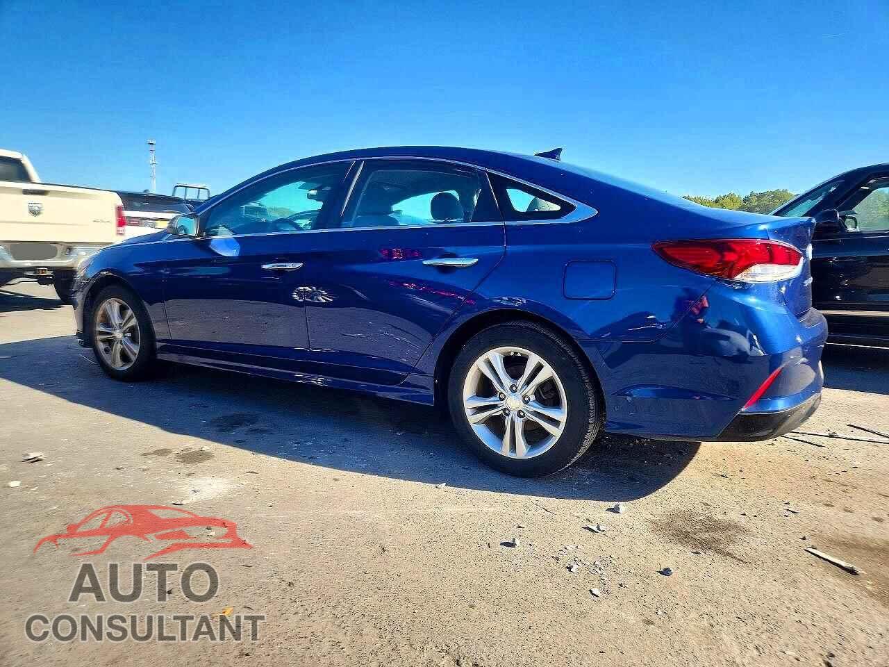 HYUNDAI SONATA 2019 - 5NPE34AF2KH752795