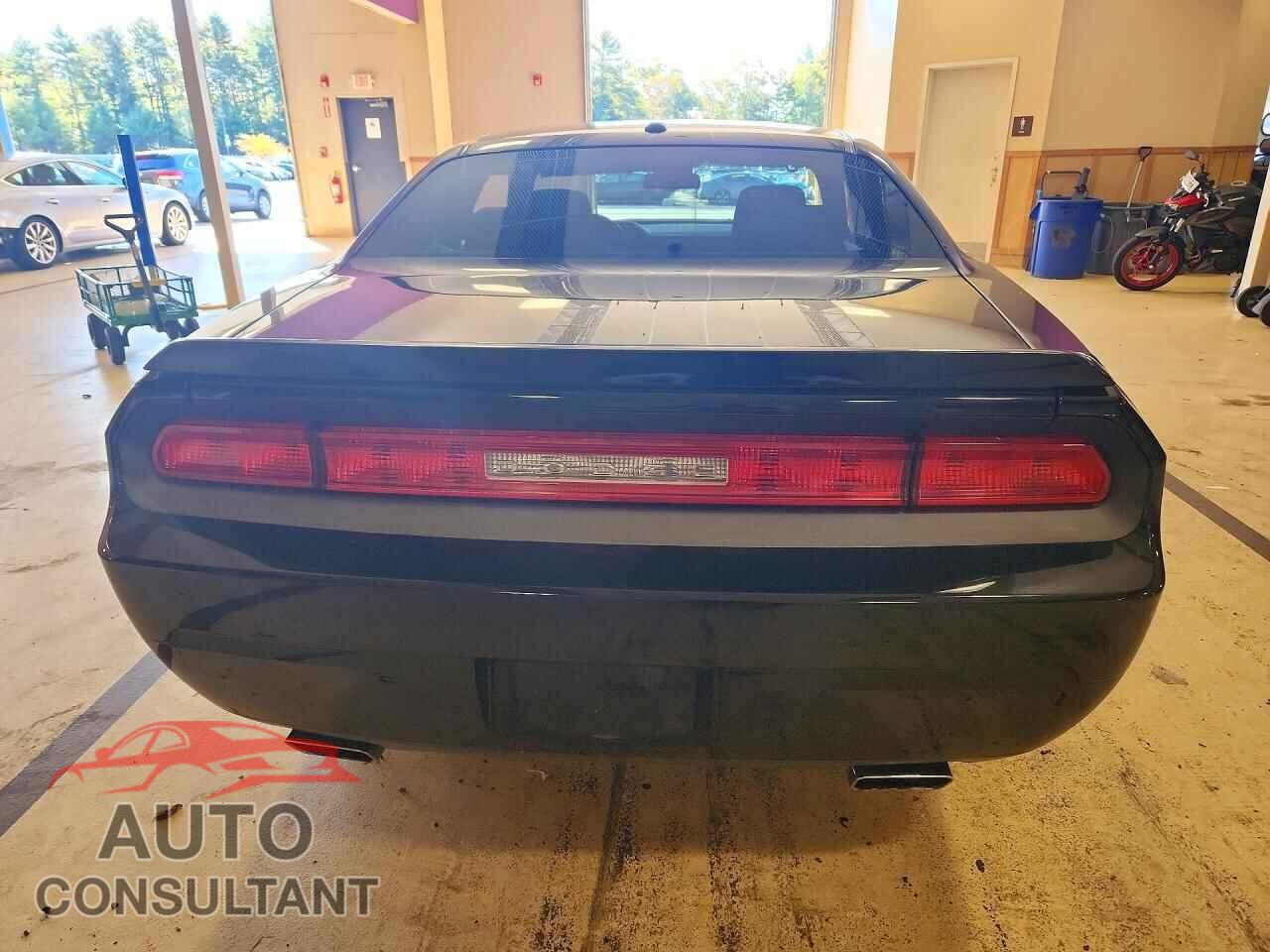 DODGE CHALLENGER 2014 - 2C3CDYBT4EH139918