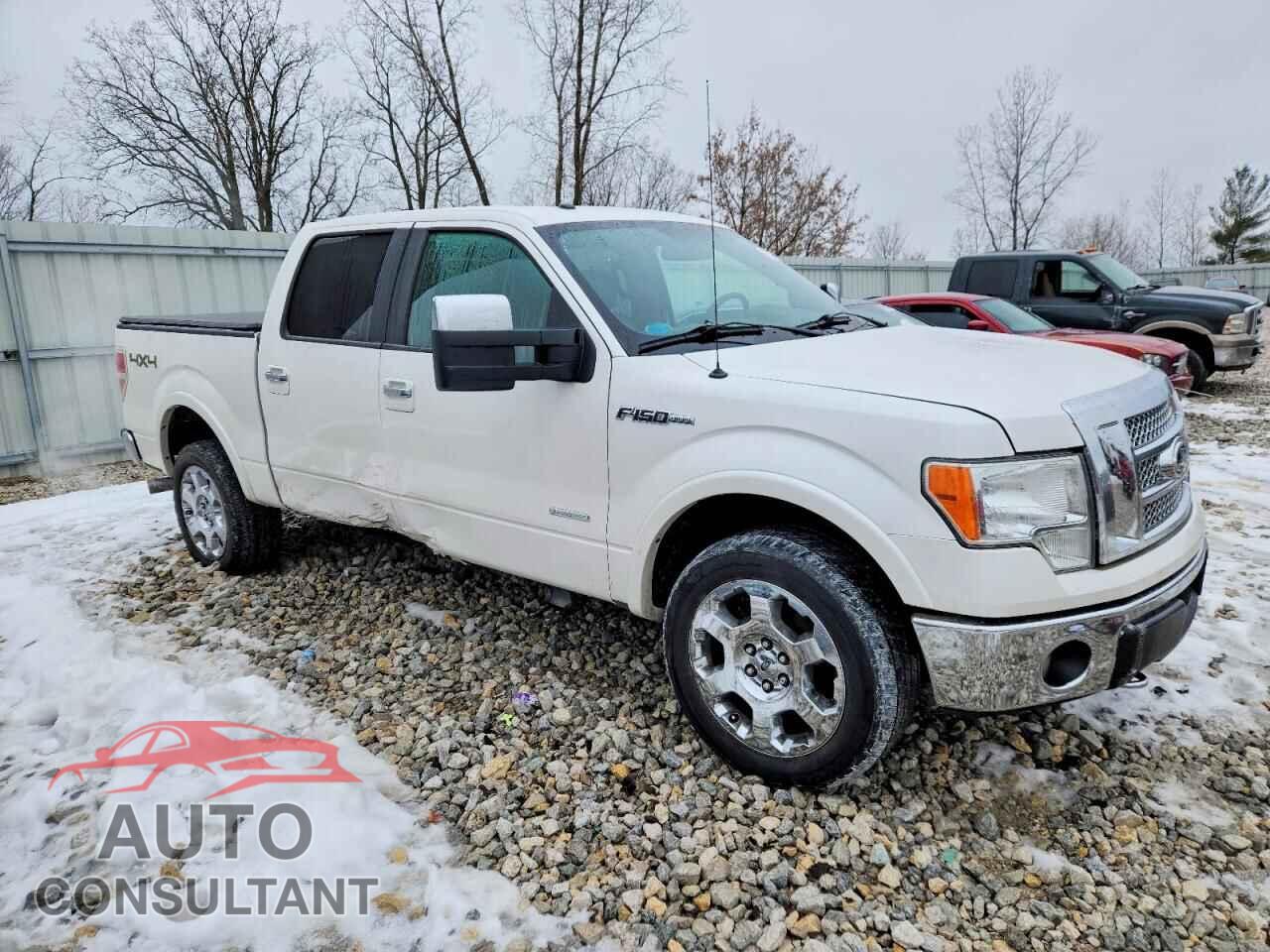 FORD F-150 2011 - 1FTFW1ET6BFA83869