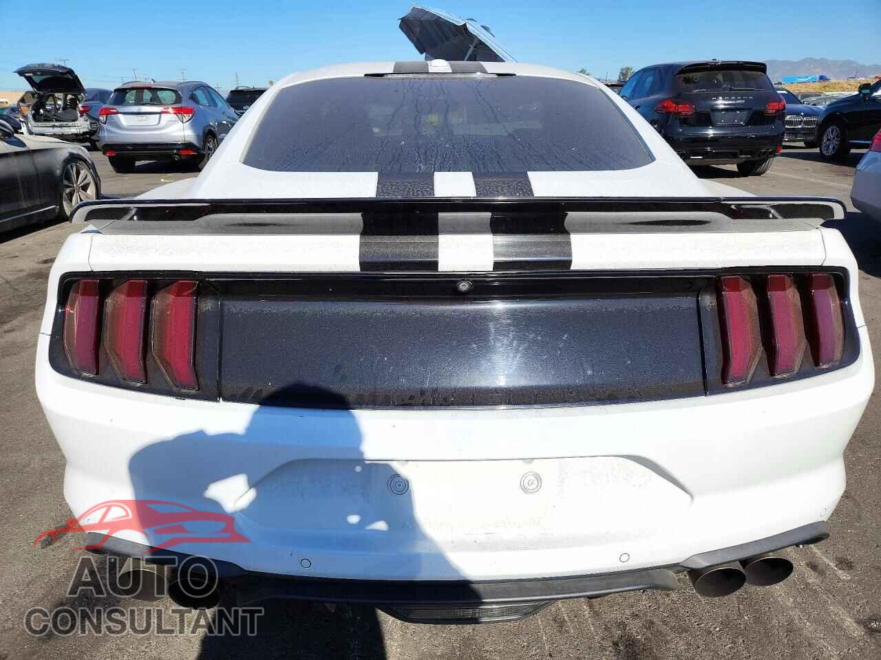 FORD MUSTANG 2019 - 1FA6P8CF7K5169271