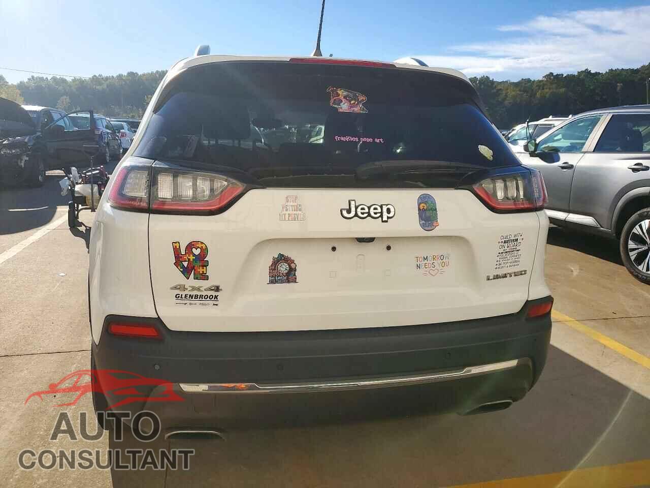 JEEP CHEROKEE 2019 - 1C4PJMDN3KD208992