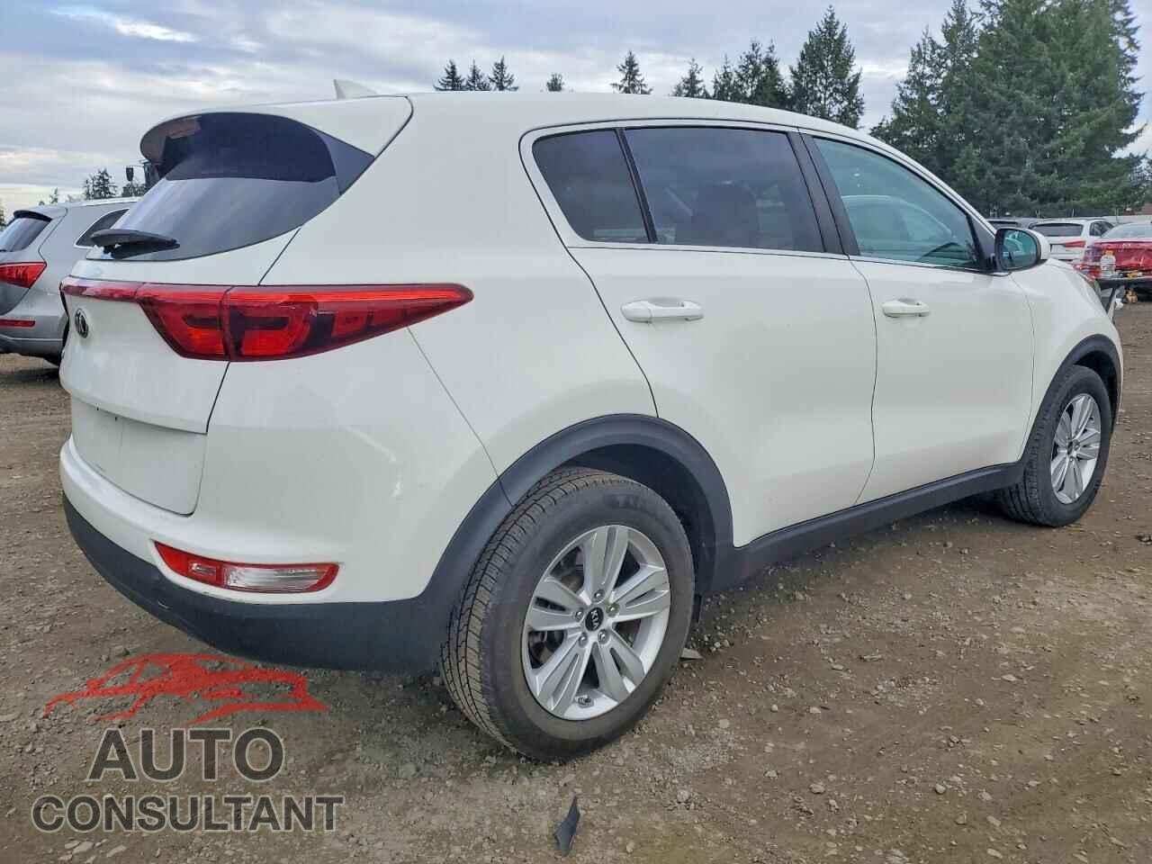 KIA SPORTAGE 2017 - KNDPM3AC8H7233382