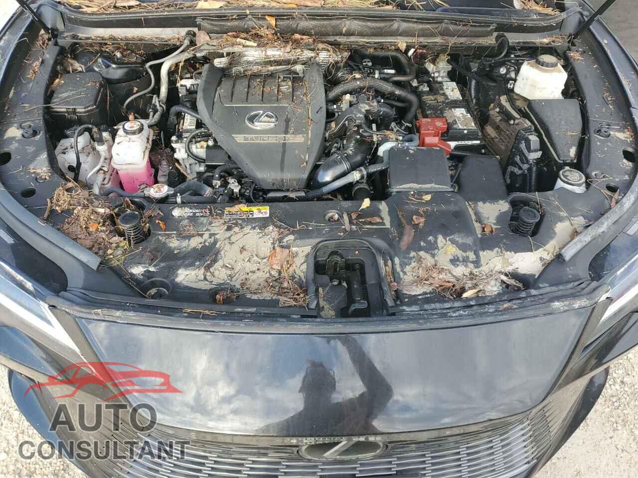 LEXUS RX350 2023 - 2T2BAMCA3PC019266