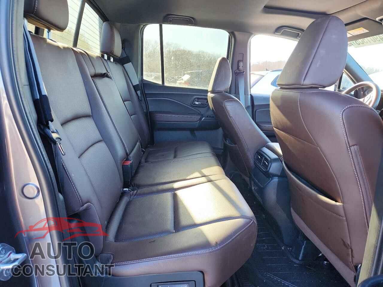 HONDA RIDGELINE 2024 - 5FPYK3F50RB007635