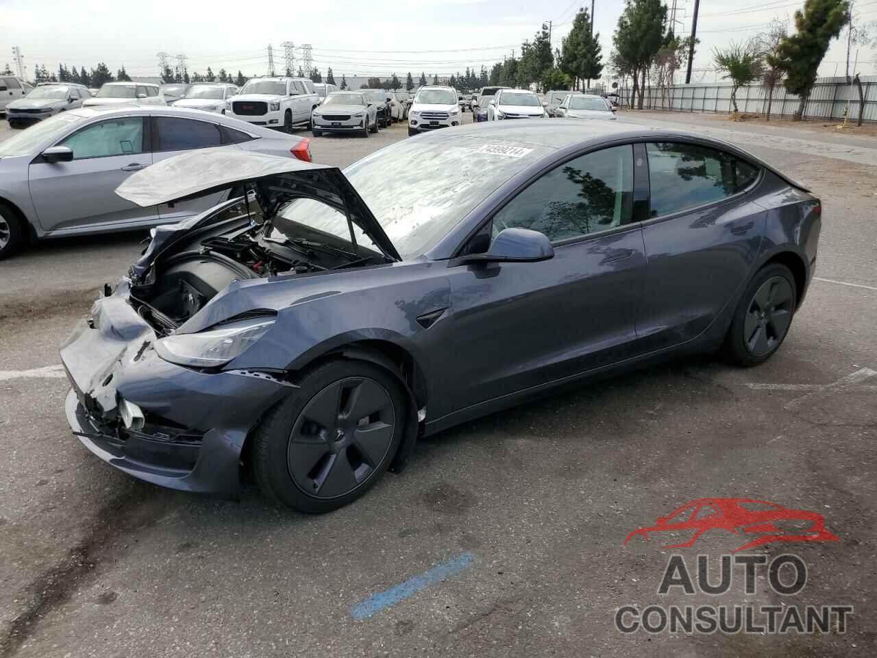 TESLA MODEL 3 2023 - 5YJ3E1EA3PF546986