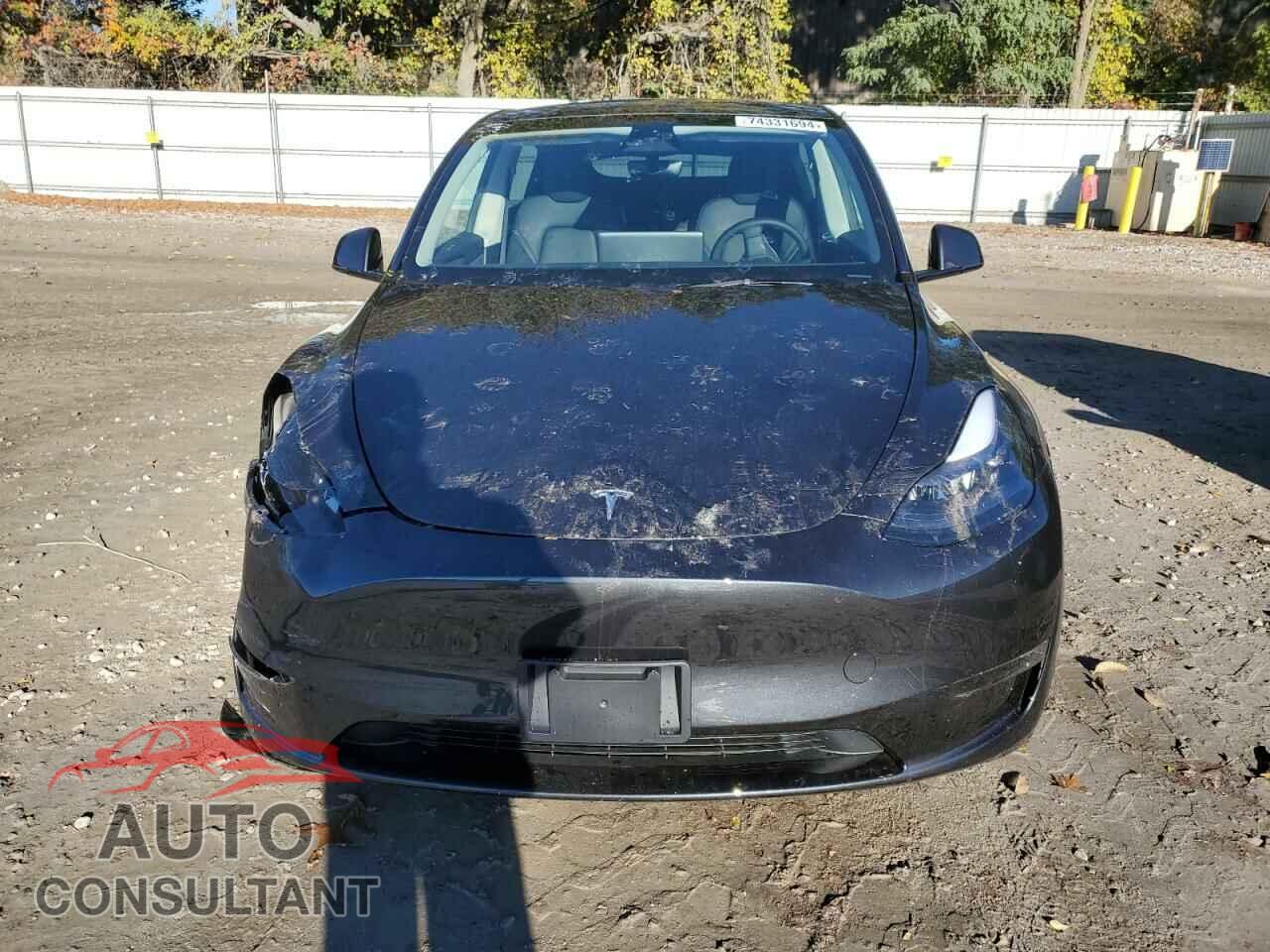 TESLA MODEL Y 2024 - 7SAYGDEE1RF165535