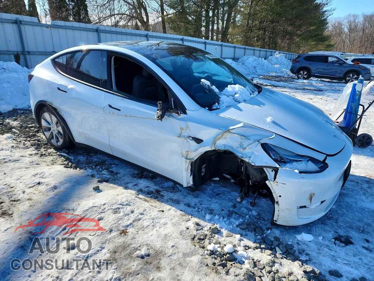 TESLA MODEL Y 2022 - 7SAYGDEEXNF436022