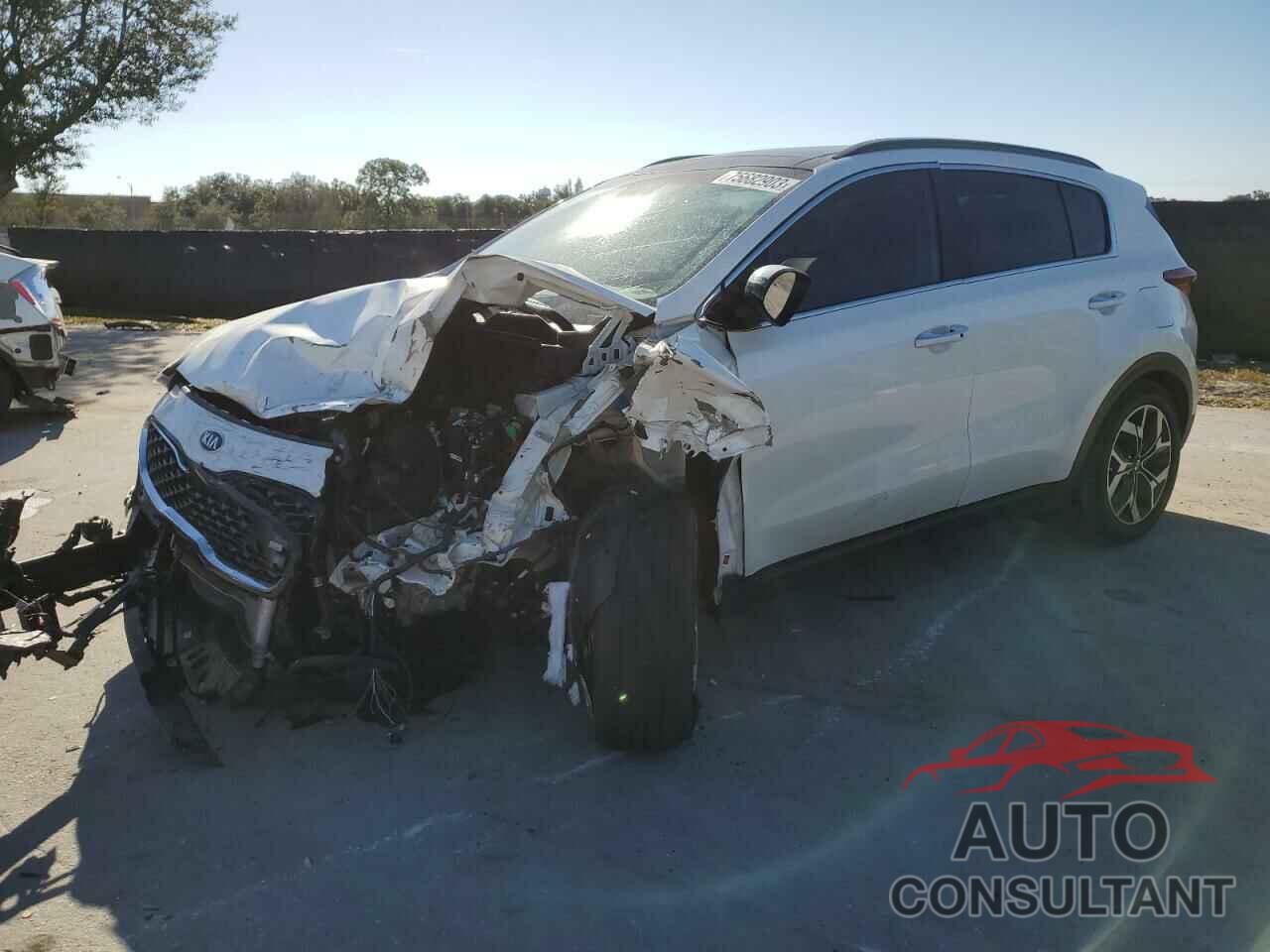 KIA SPORTAGE 2022 - KNDPN3AC9N7022474