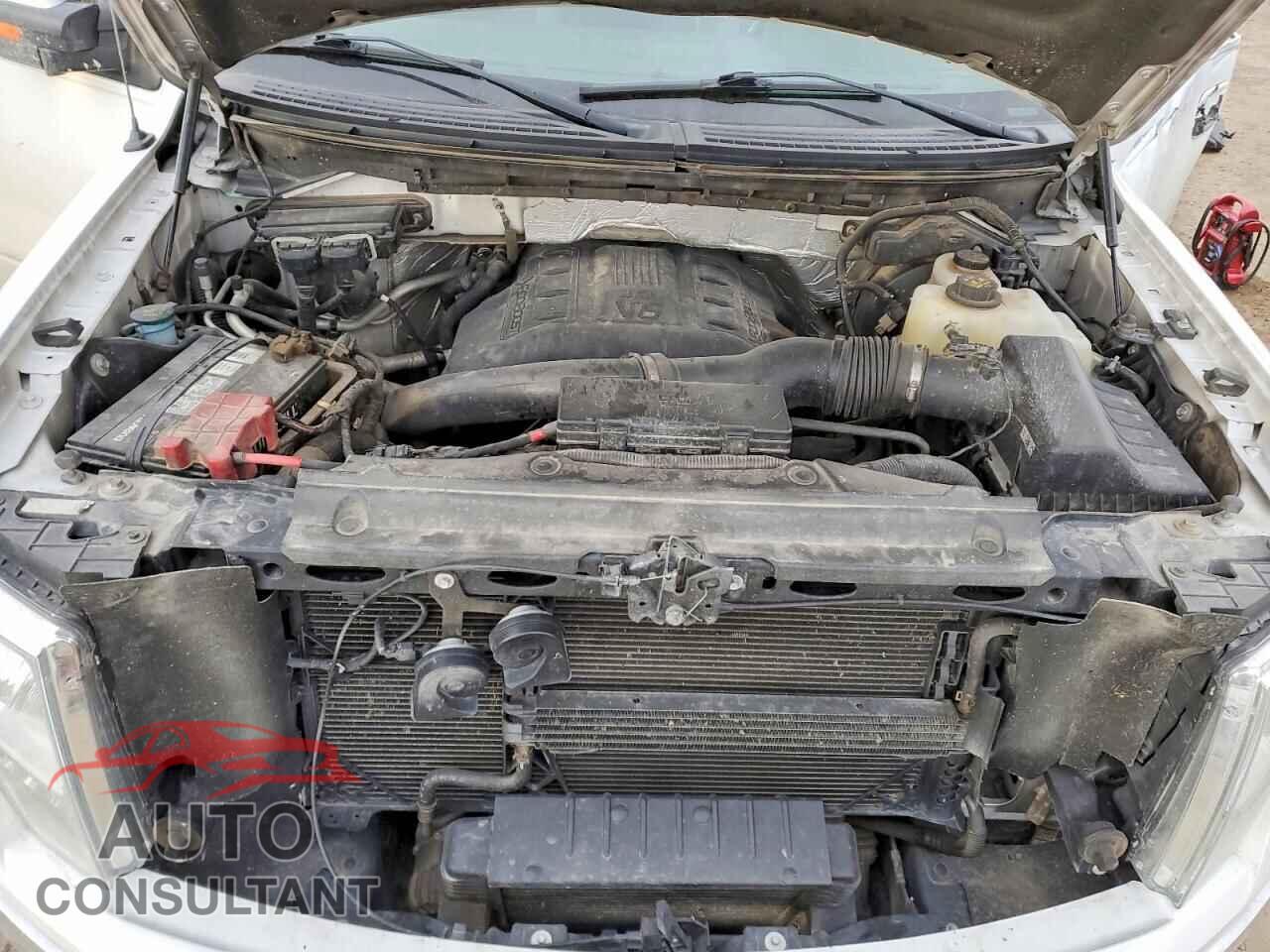FORD F-150 2012 - 1FTFW1ET4CFA72838