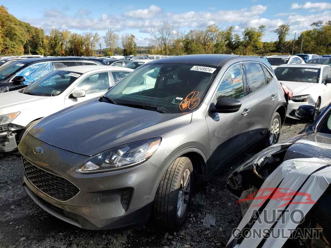 FORD ESCAPE 2022 - 1FMCU9G63NUA87923