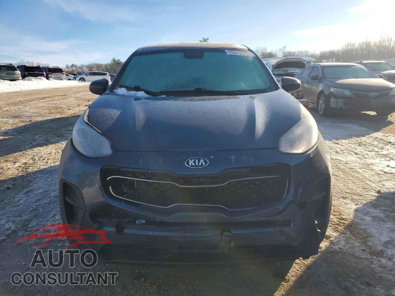 KIA SPORTAGE 2017 - KNDPM3AC2H7233961