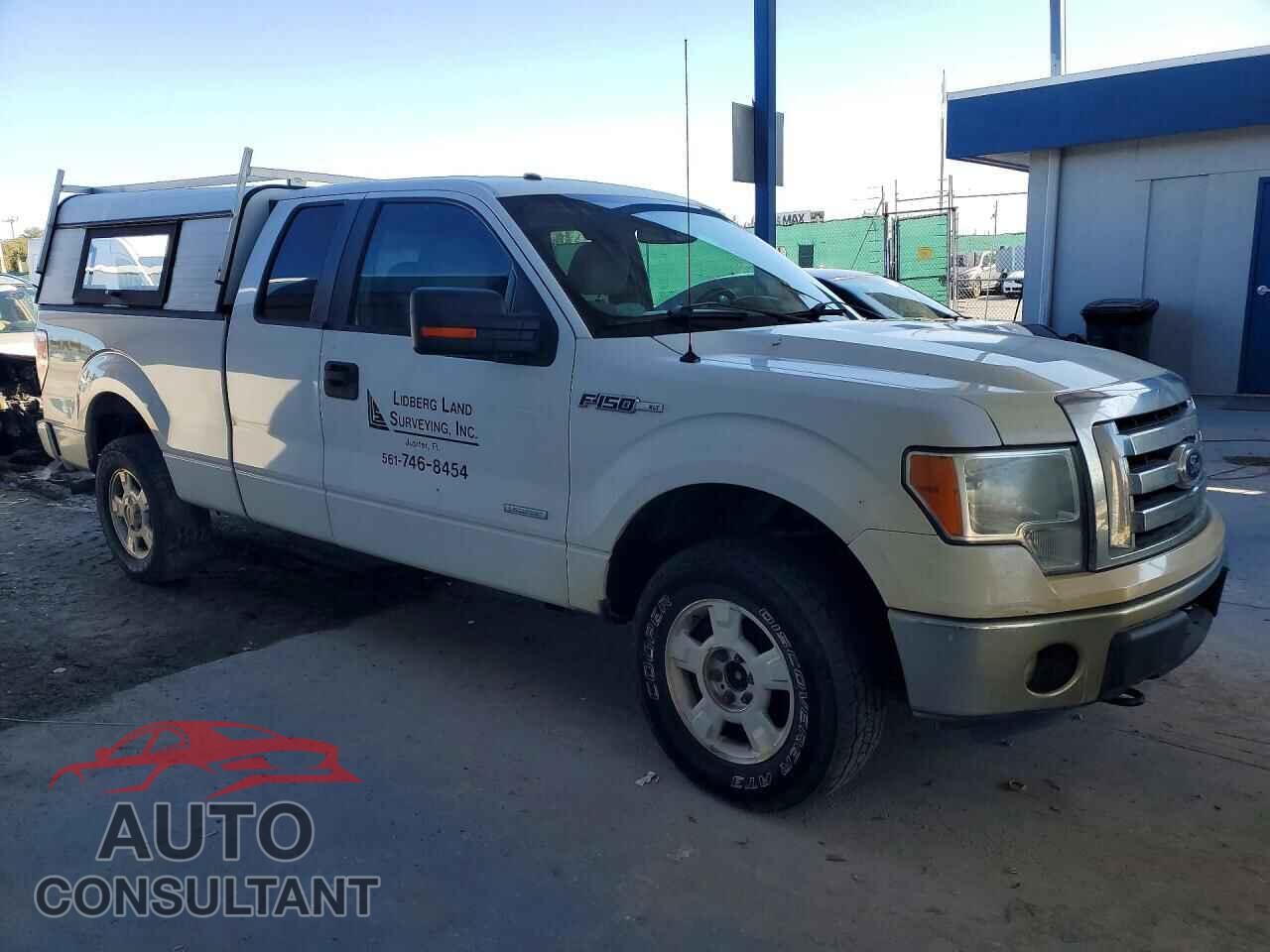 FORD F-150 2012 - 1FTFX1ET4CFB62343