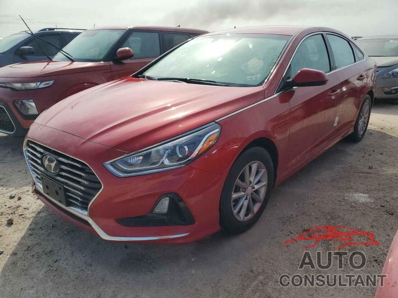 HYUNDAI SONATA 2019 - 5NPE24AF9KH761142