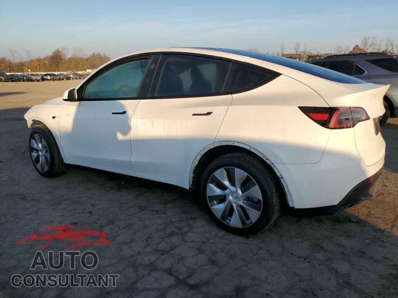 TESLA MODEL Y 2024 - 7SAYGDEE8RA235545