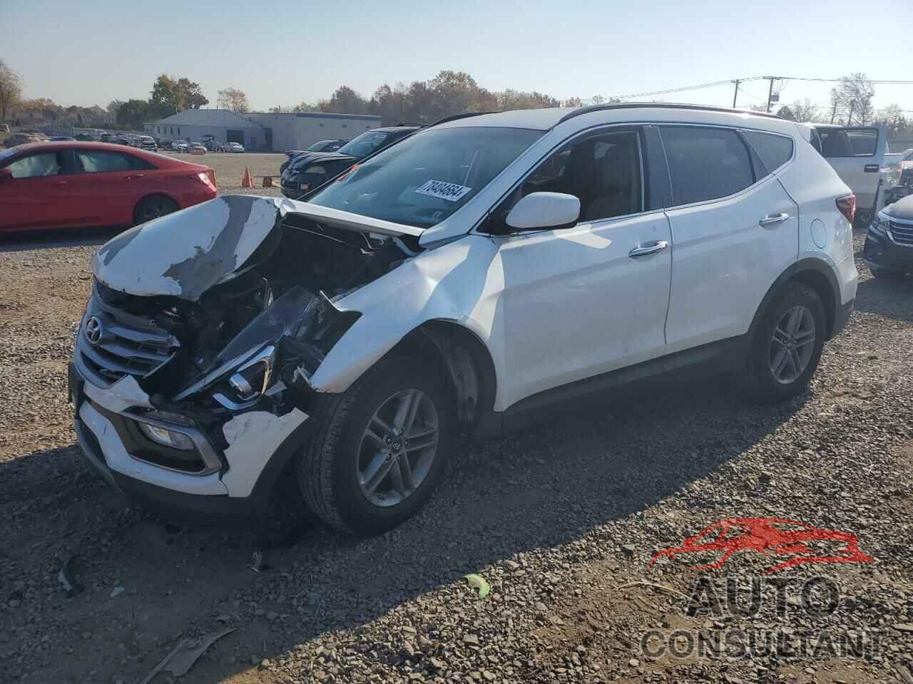 HYUNDAI SANTA FE 2017 - 5NMZUDLB7HH024808