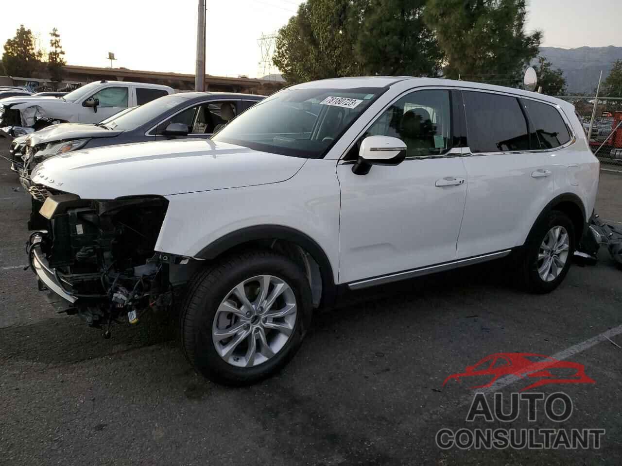 KIA TELLURIDE 2022 - 5XYP24HC3NG280559