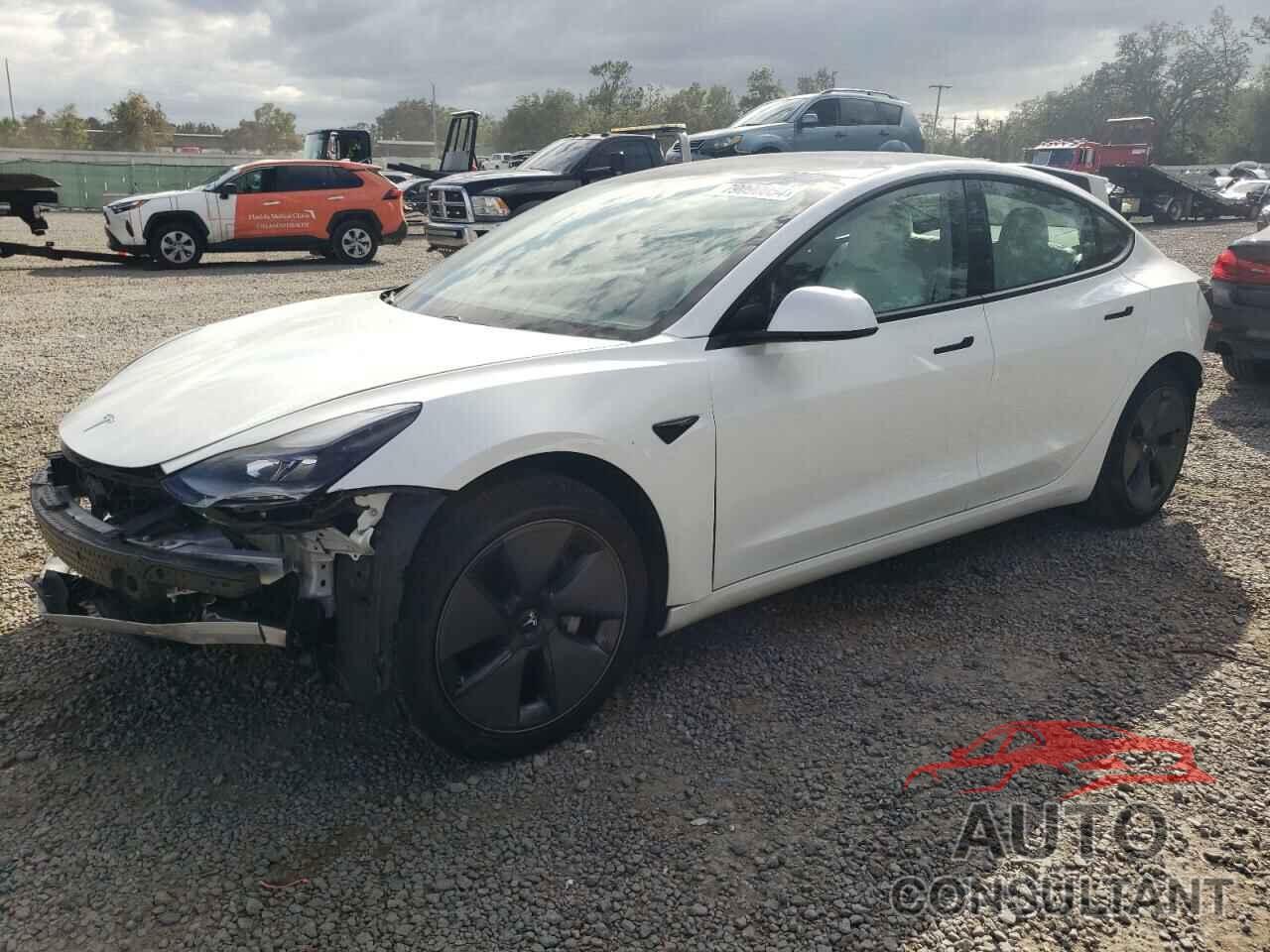 TESLA MODEL 3 2021 - 5YJ3E1EA8MF989601