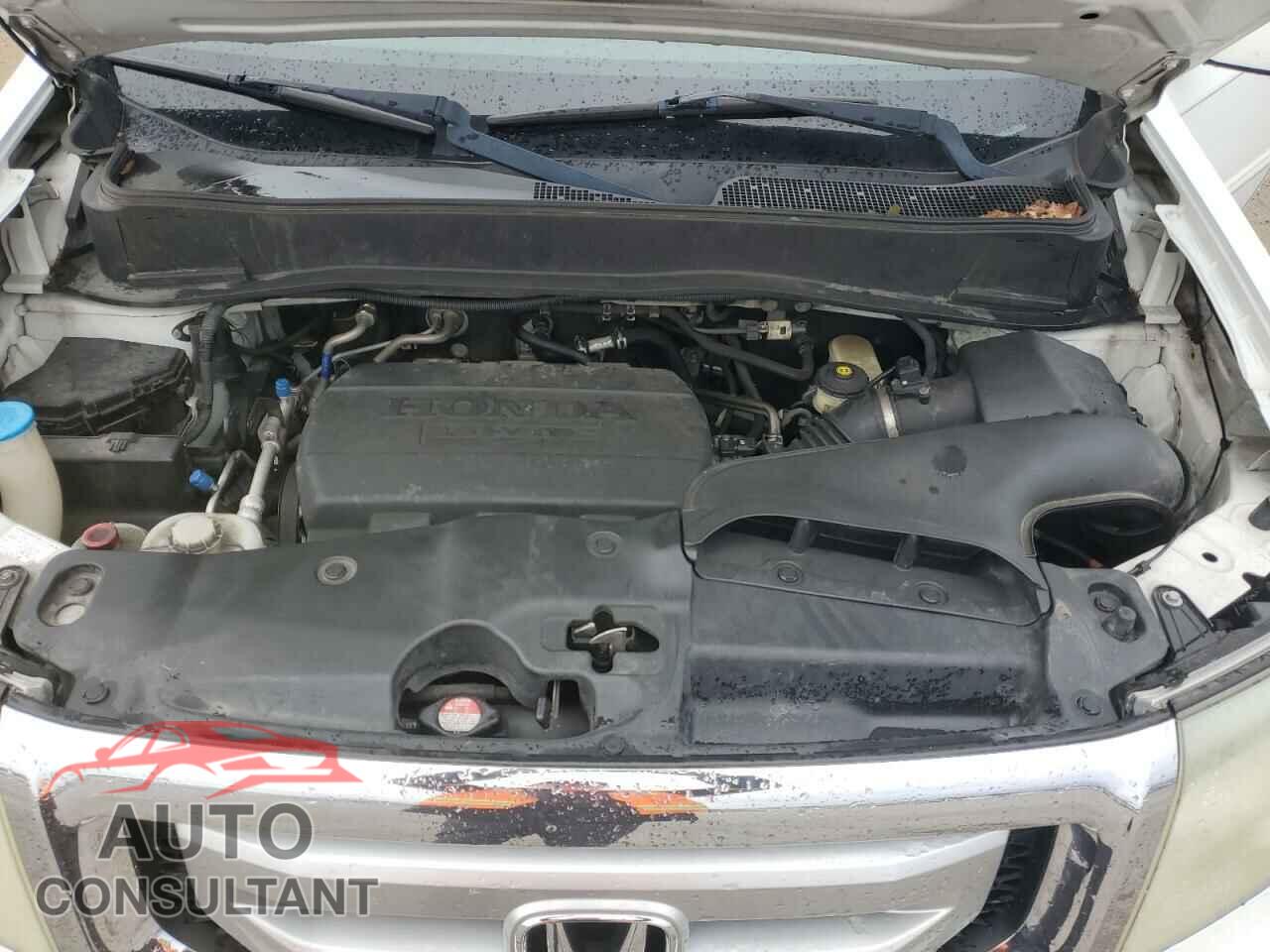 HONDA PILOT 2011 - 5FNYF3H75BB008314