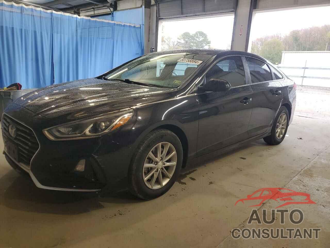 HYUNDAI SONATA 2019 - 5NPE24AF3KH789857