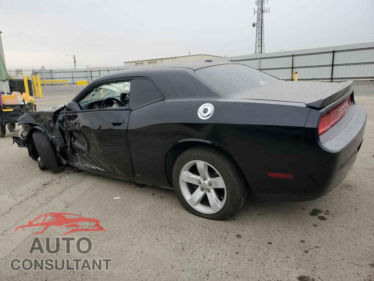 DODGE CHALLENGER 2013 - 2C3CDYBTXDH724341