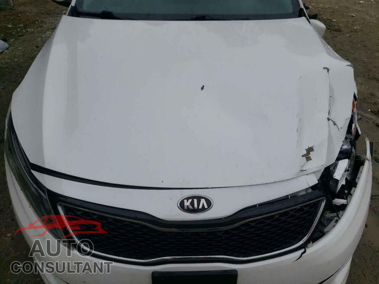 KIA OPTIMA 2014 - KNAGM4A78E5488885