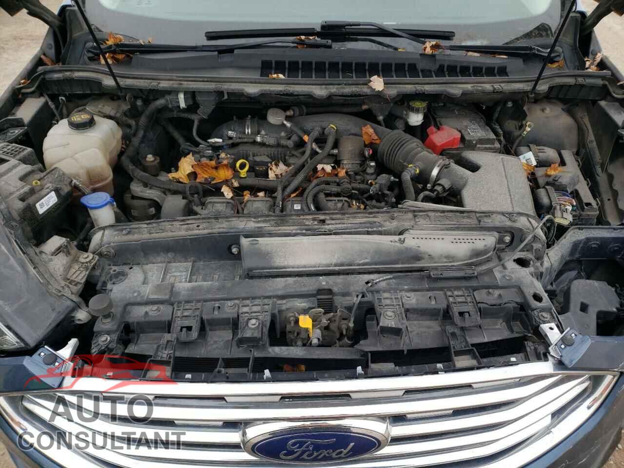 FORD EDGE 2019 - 2FMPK3J95KBC07908