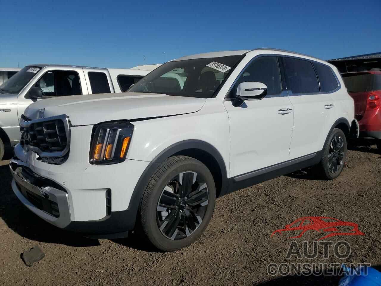 KIA TELLURIDE 2024 - 5XYP5DGC8RG508506