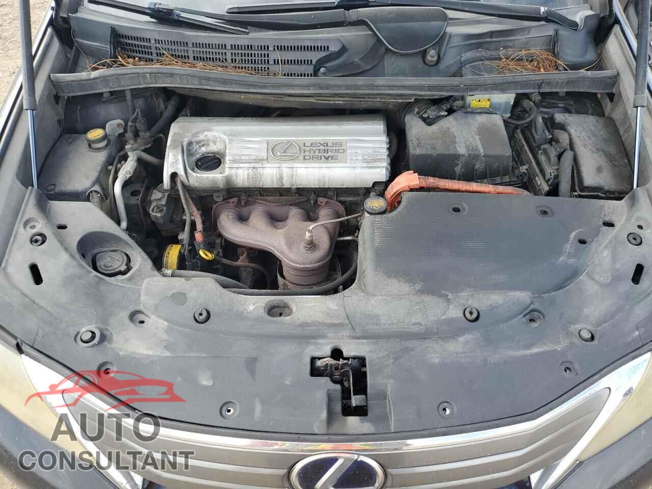 LEXUS HS 2010 - JTHBB1BA0A2037908