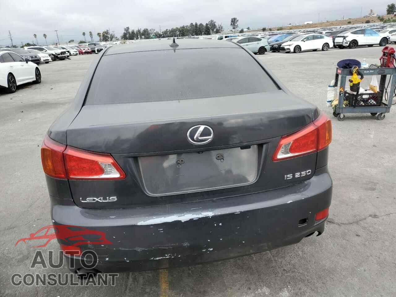 LEXUS IS 2010 - JTHBF5C20A5110180