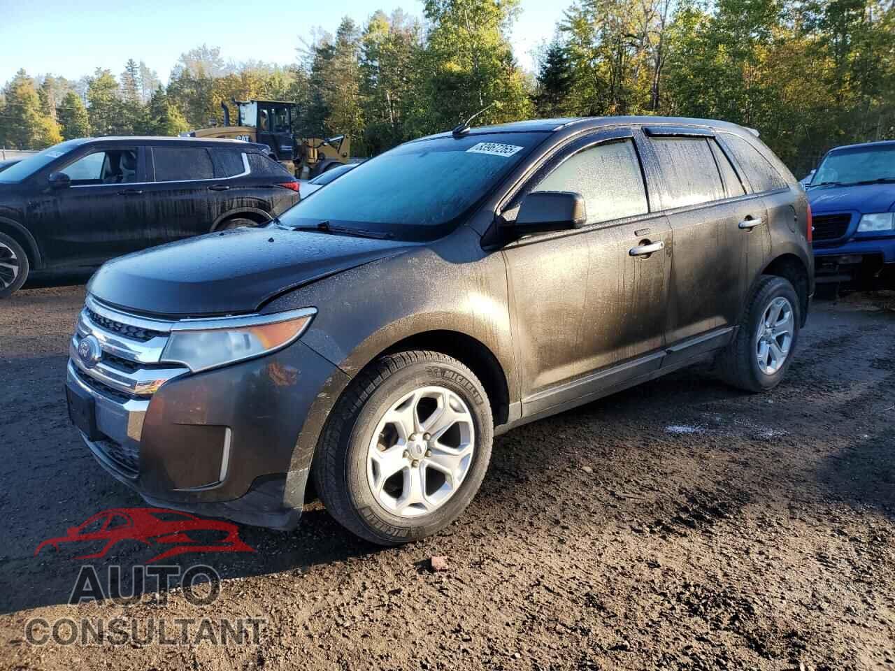 FORD EDGE 2011 - 2FMDK4JC1BBA48731