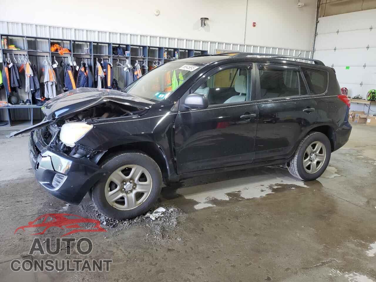 TOYOTA RAV4 2011 - 2T3BF4DV5BW135686