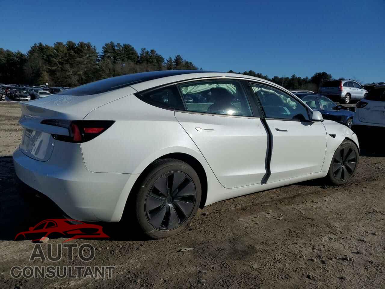 TESLA MODEL 3 2024 - 5YJ3E1EA7RF731299
