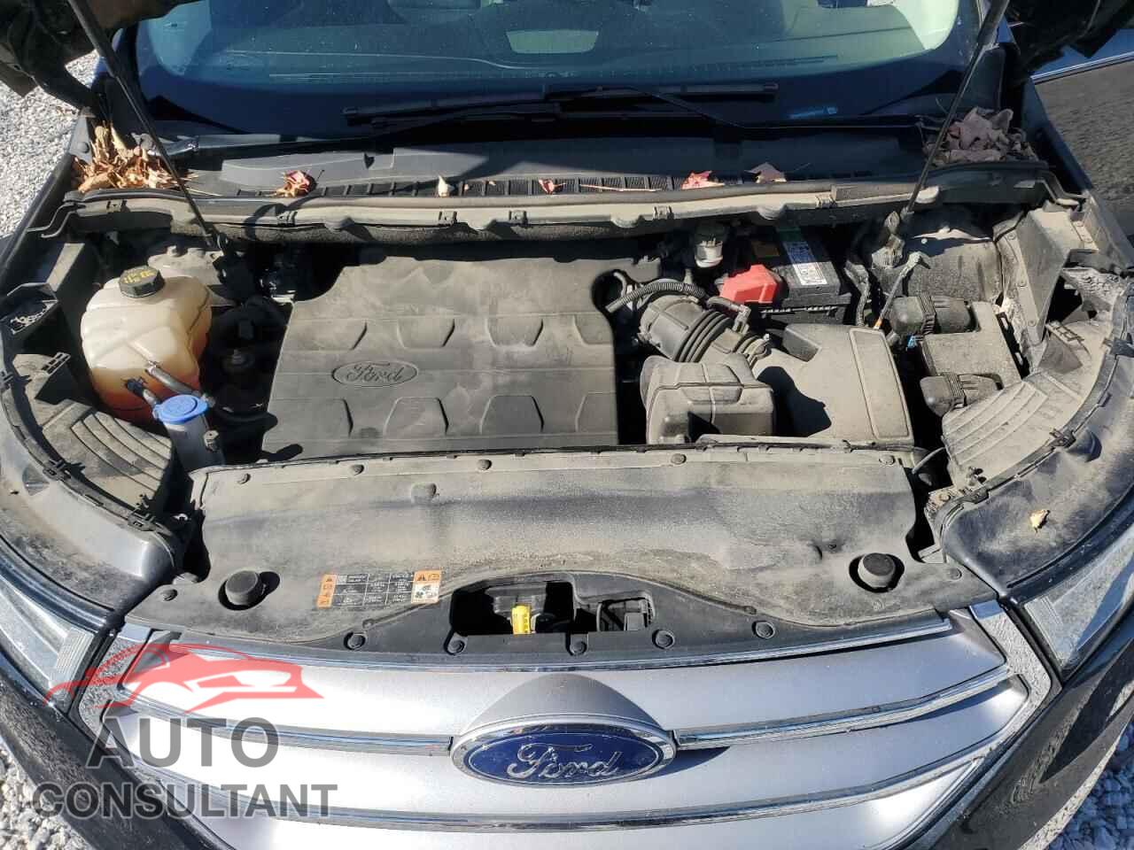 FORD EDGE 2017 - 2FMPK3J85HBB72111