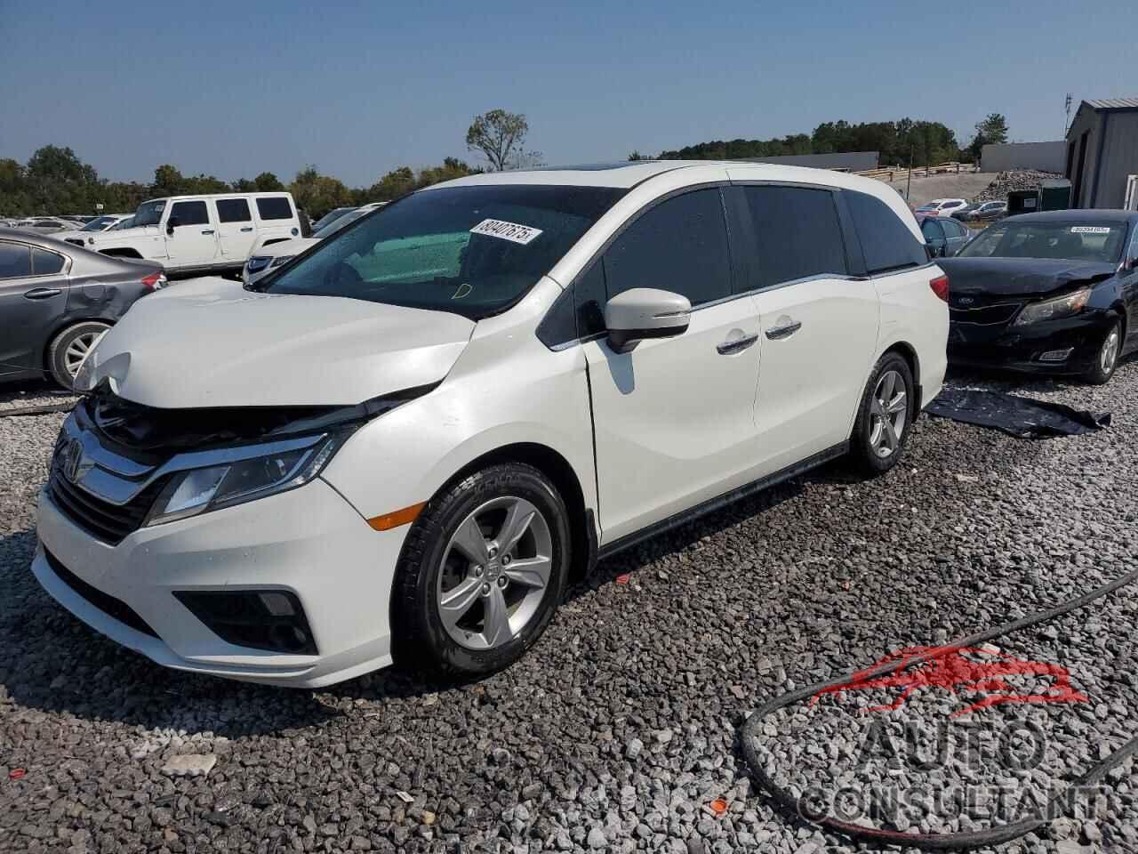 HONDA All Models 2020 - 5FNRL6H78LB050217