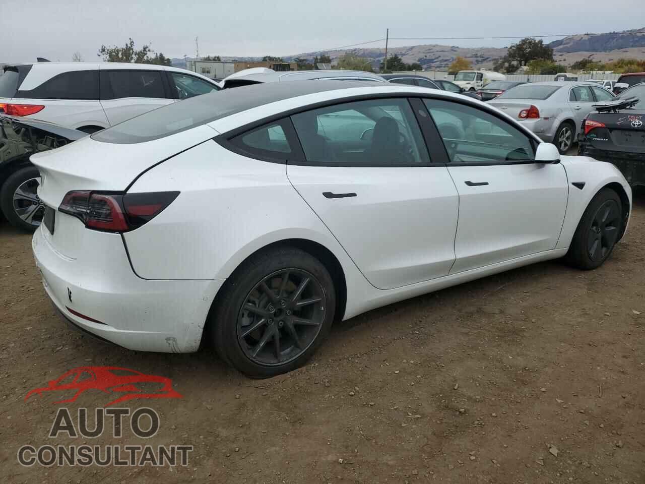 TESLA MODEL 3 2021 - 5YJ3E1EA3MF030252