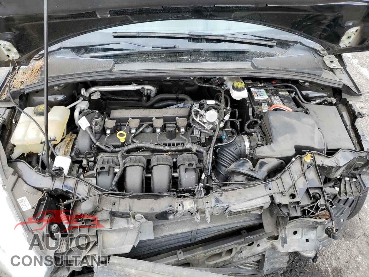 FORD FOCUS 2017 - 1FADP3F20HL216177