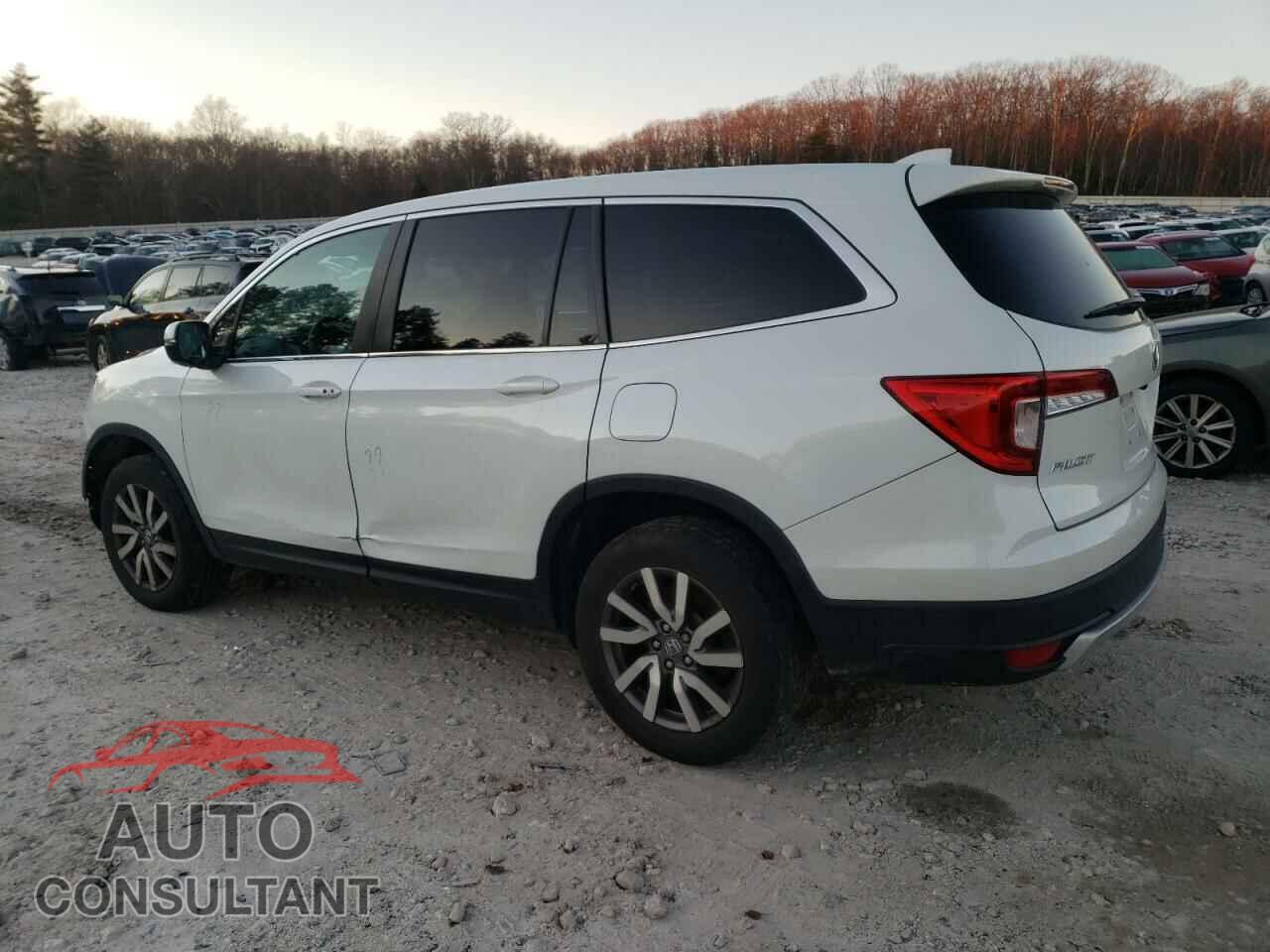 HONDA PILOT 2021 - 5FNYF6H38MB092260