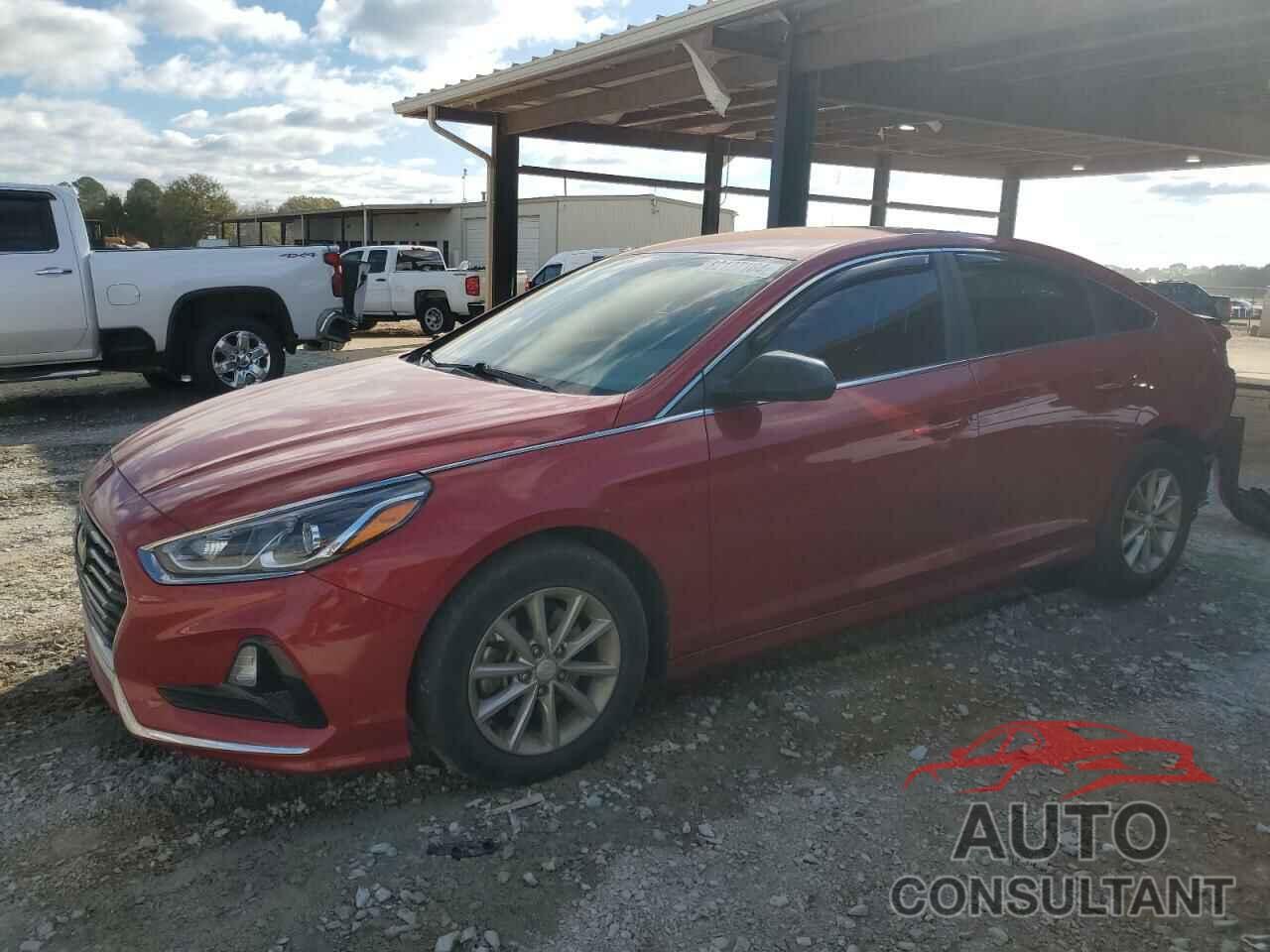 HYUNDAI SONATA 2019 - 5NPE24AF7KH773726