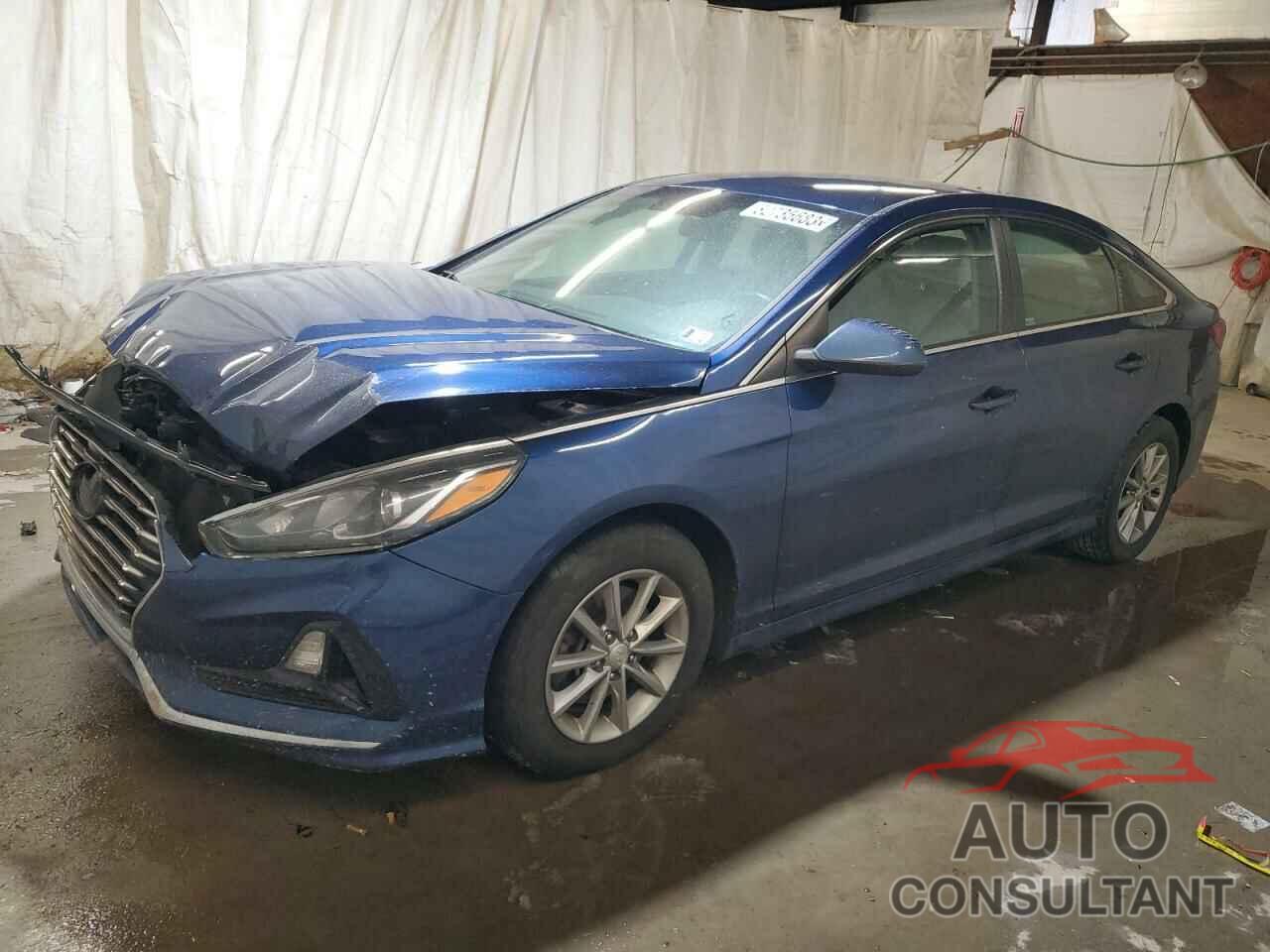 HYUNDAI SONATA 2019 - 5NPE24AF0KH742205