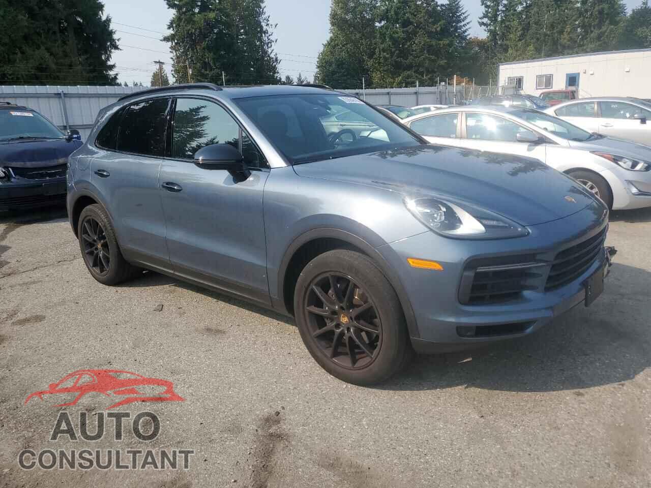 PORSCHE CAYENNE 2019 - WP1AA2AY9KDA14359