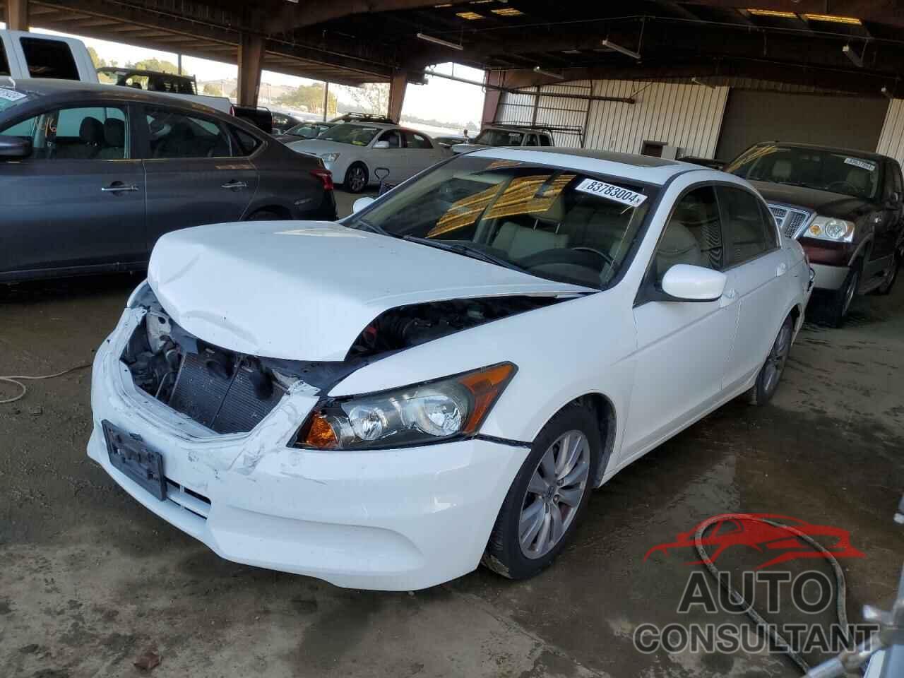 HONDA ACCORD 2011 - 1HGCP2F8XBA066491