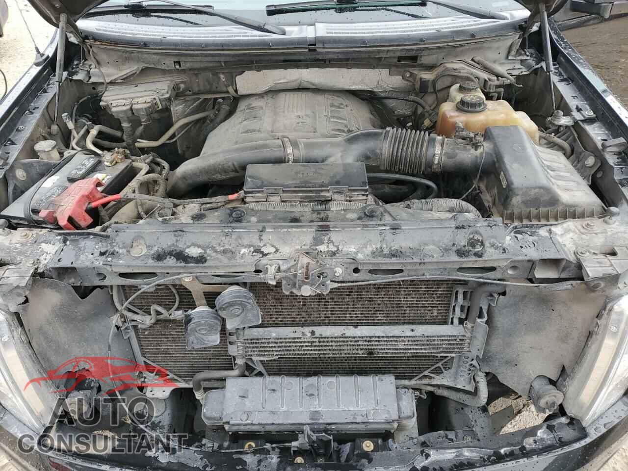 FORD F-150 2013 - 1FTFW1ET3DFC04585