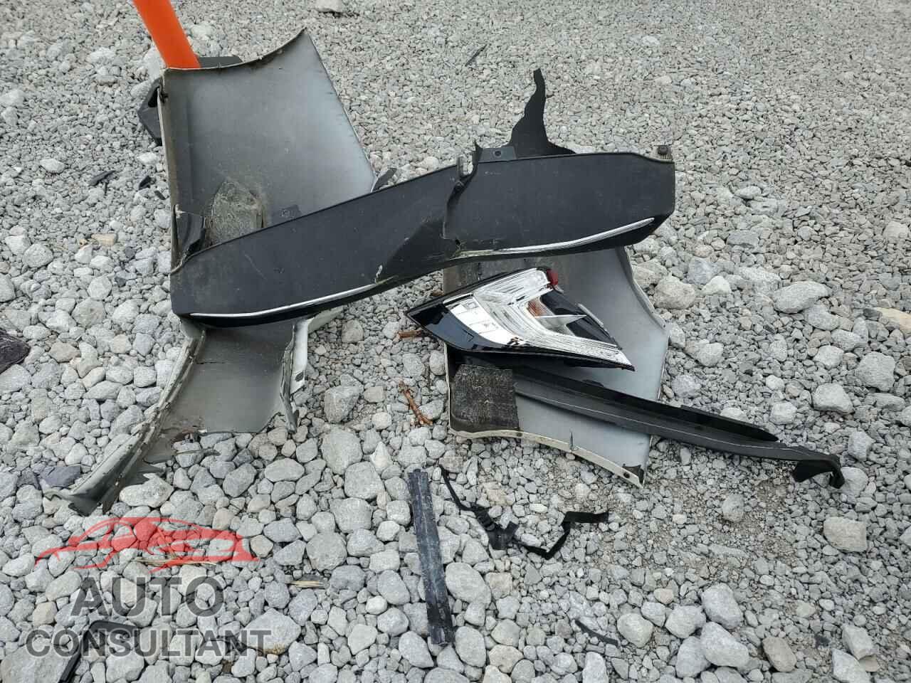 HONDA CIVIC 2019 - 2HGFC2F62KH570655