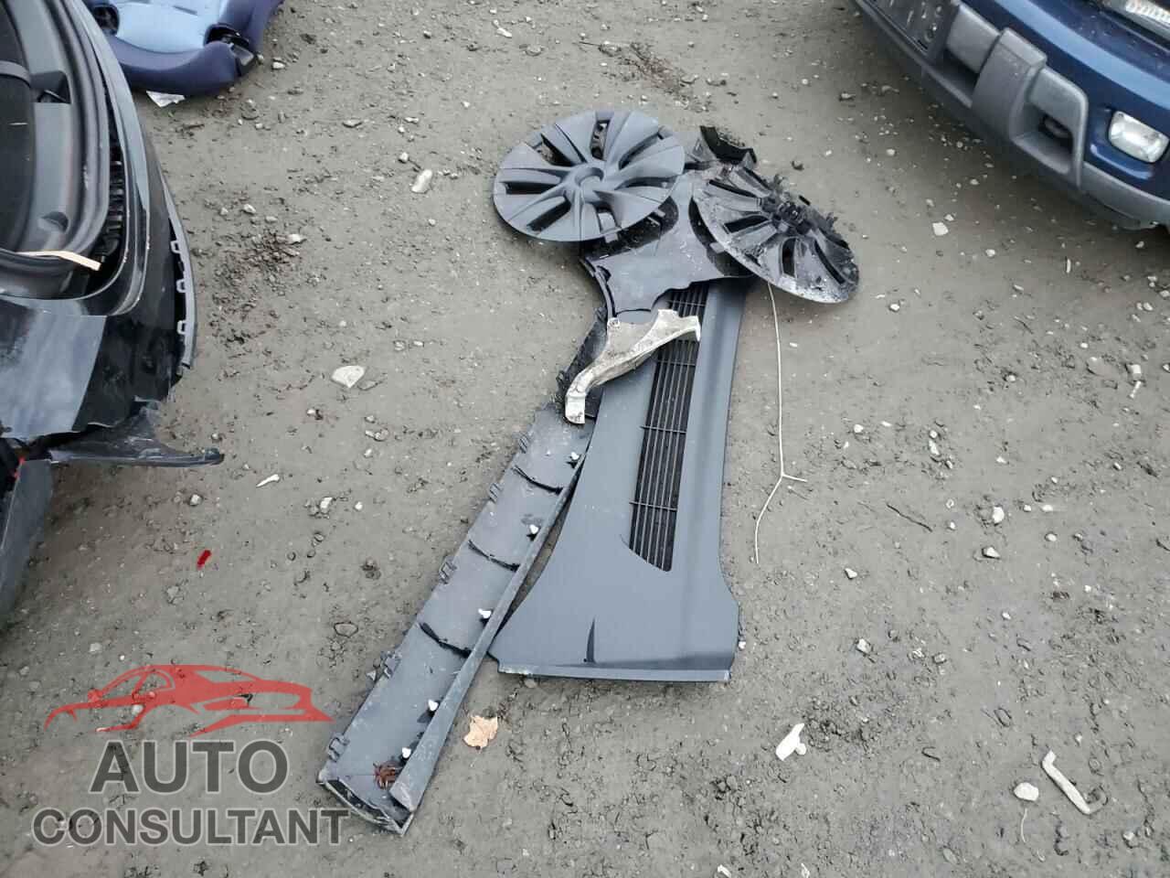 TESLA MODEL Y 2024 - 7SAYGAEE8RF116542