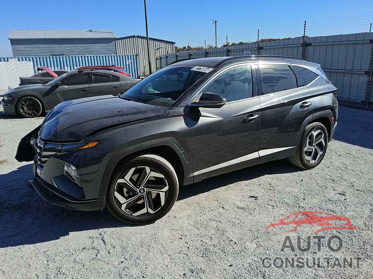 HYUNDAI TUCSON 2024 - 5NMJECDEXRH308108