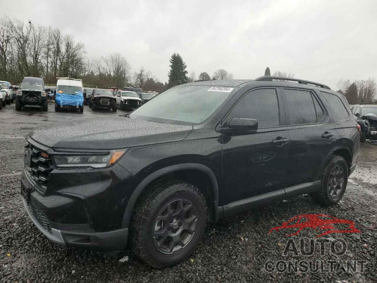 HONDA PILOT 2024 - 5FNYG1H64RB026113