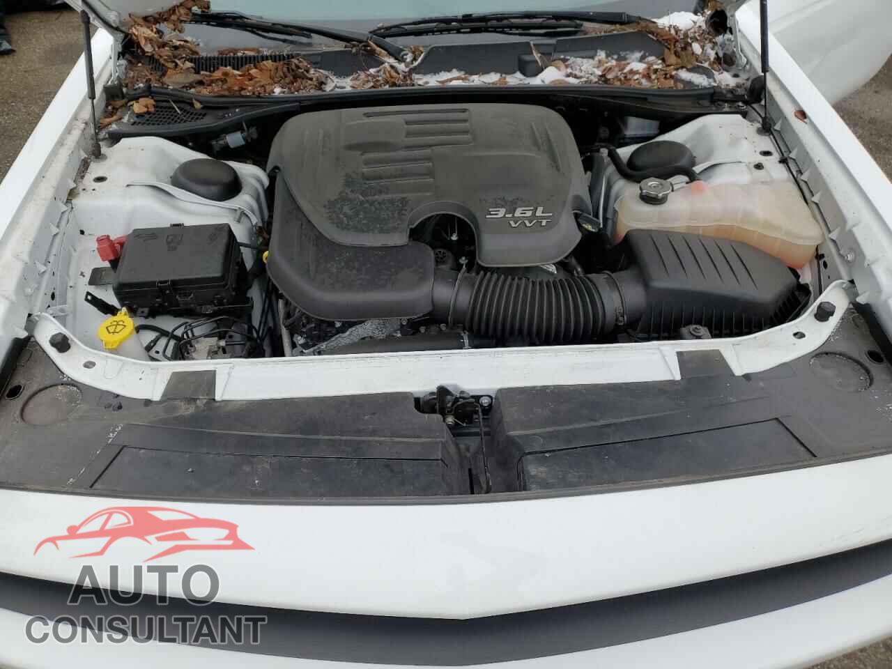 DODGE CHALLENGER 2021 - 2C3CDZAG3MH591125
