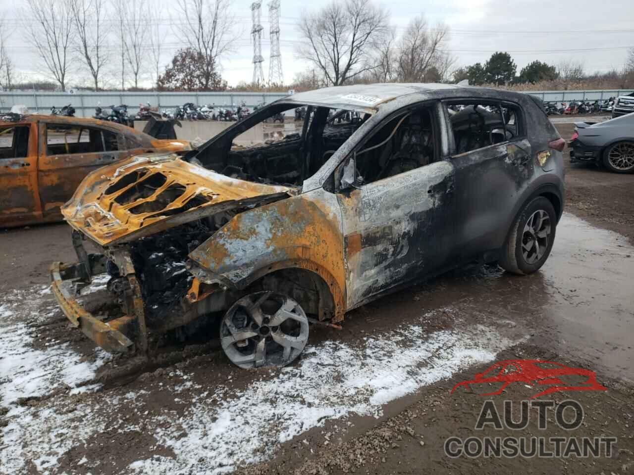 KIA SPORTAGE 2020 - KNDPM3AC3L7737816