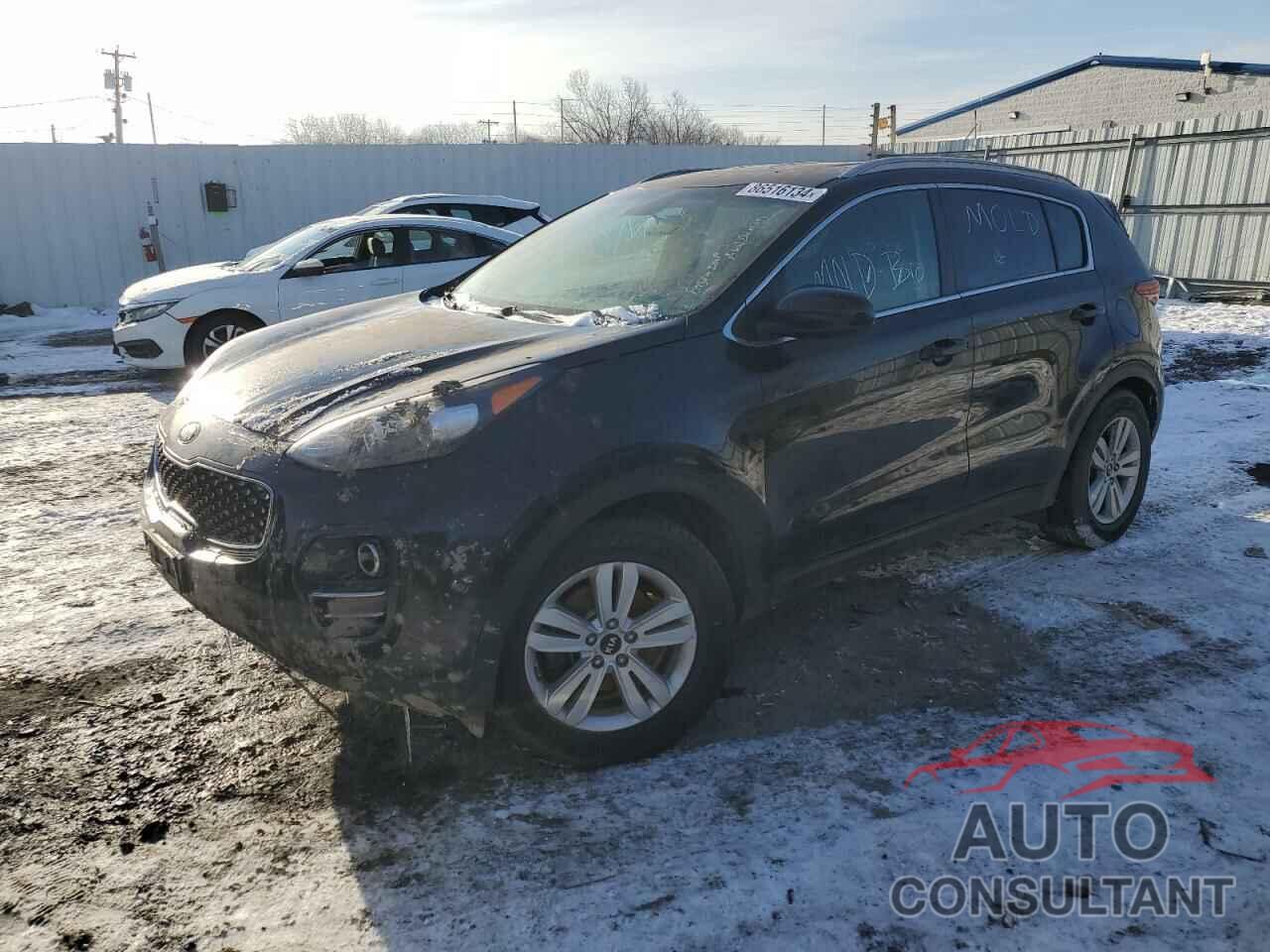 KIA SPORTAGE 2017 - KNDPMCAC6H7160691