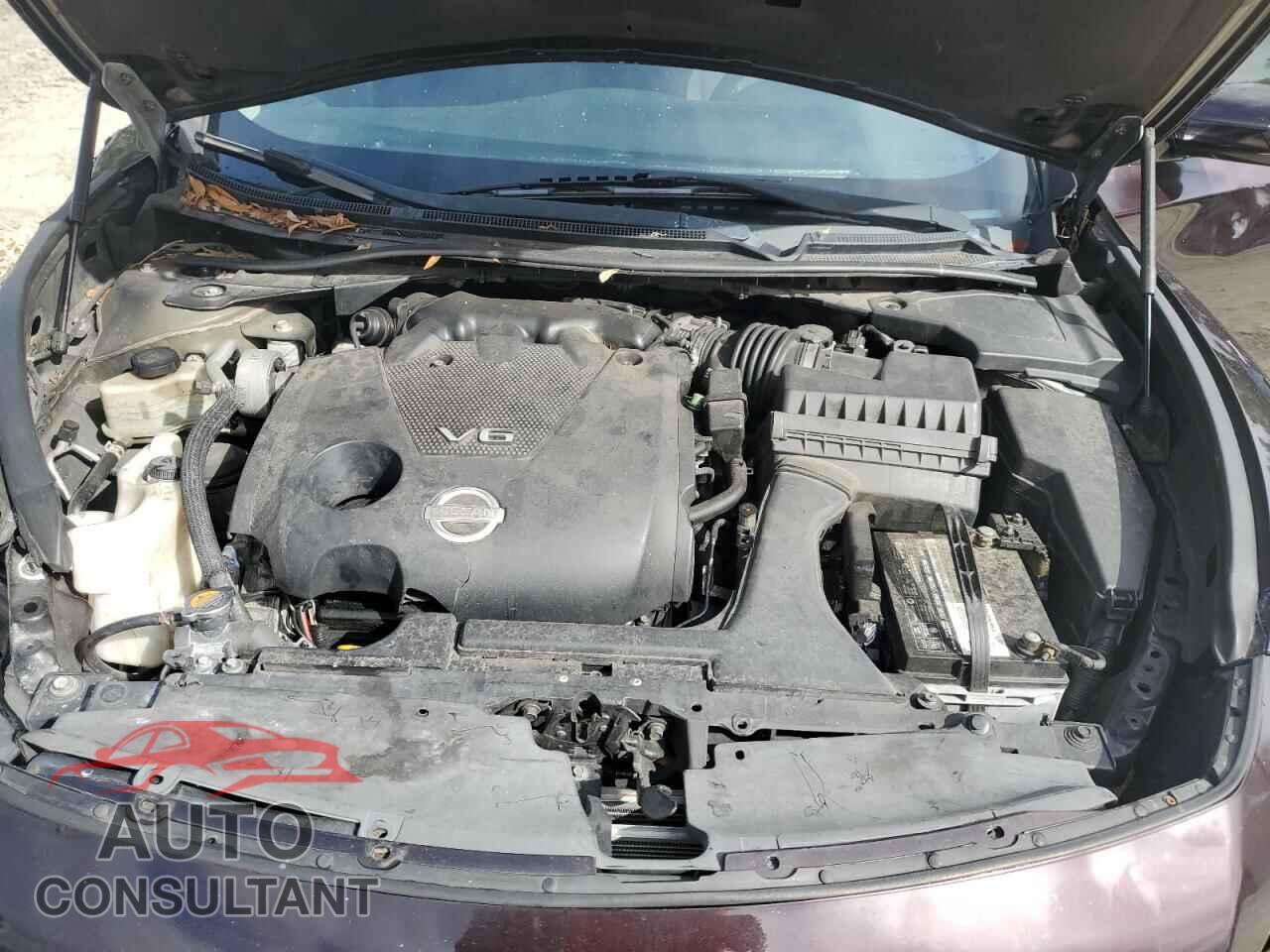 NISSAN MAXIMA 2013 - 1N4AA5AP8DC801019